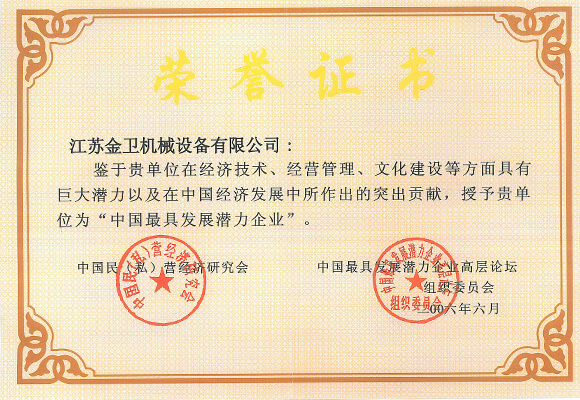 2006中国最具发展潜力证书